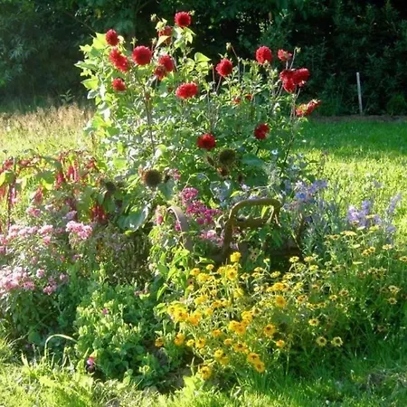 In Schlag Mit Grosser Terrasse Kirchdorf im Wald